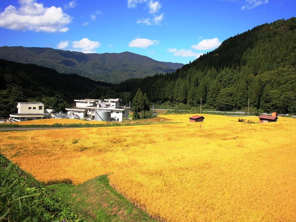 Chouchinya Nozawaonsen Exterior foto